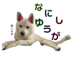 769299103