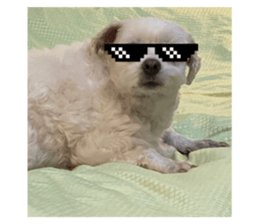 769326567