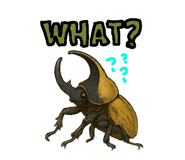 769327497