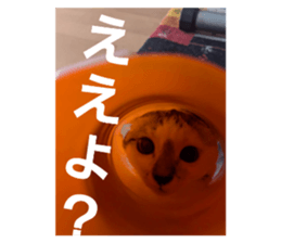 769331126