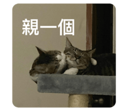 769336181