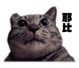 769336756