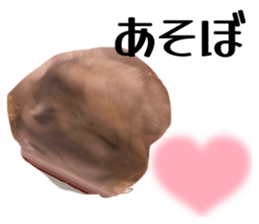 769340517