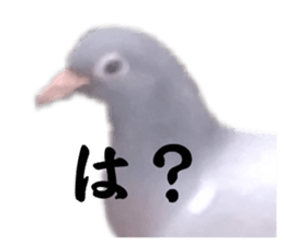 769340529