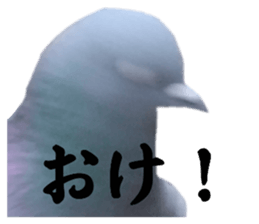 769340530