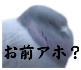 769340532