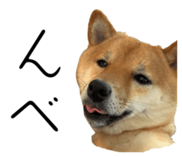 769340575