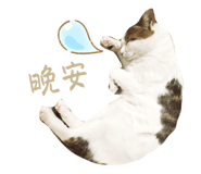 769344123