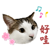 769344128