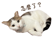 769344135
