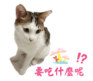 769344138
