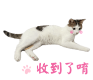 769344141