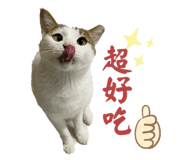 769344147
