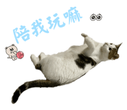 769344149