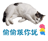 769344150