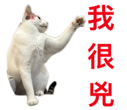 769344337