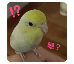 769347922