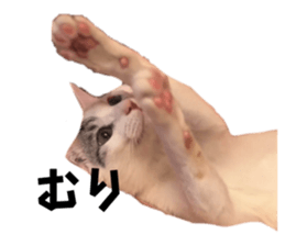 769349374