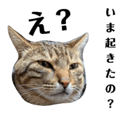 769360025