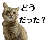769360035