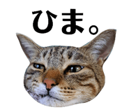 769360040