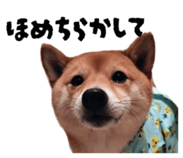 769361219