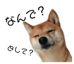 769361220