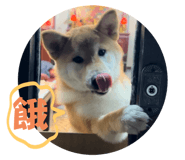 769364969