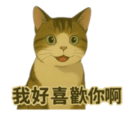 769365815