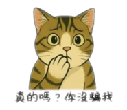 769365828