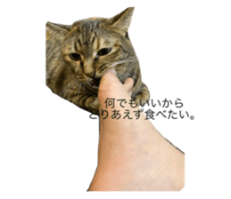 769366617
