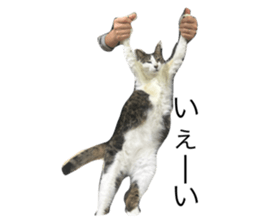 769366620