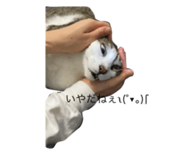 769366623