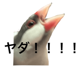769371400