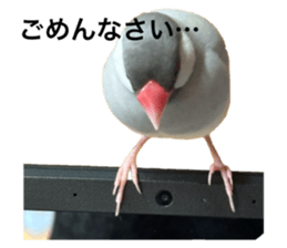 769371401