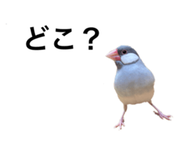 769371402