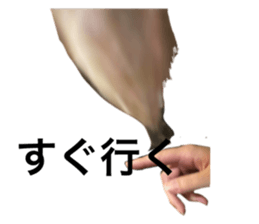 769371403