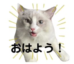 769371457