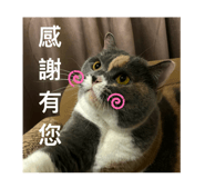 769374586