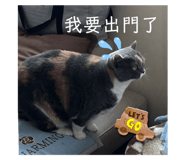 769374595