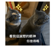 769374606