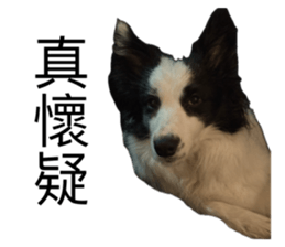 769390555