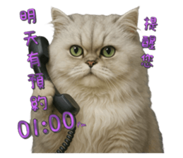 769395050