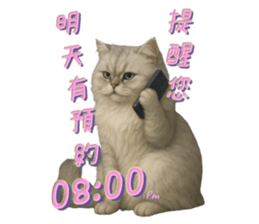 769395064