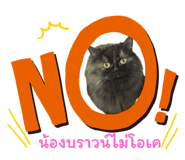 769402004