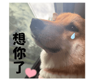 769404193