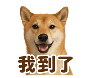 769404205