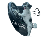 769417288