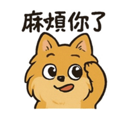 769421284