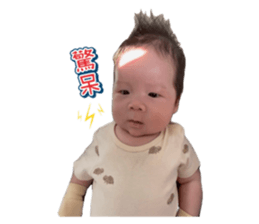 769430444